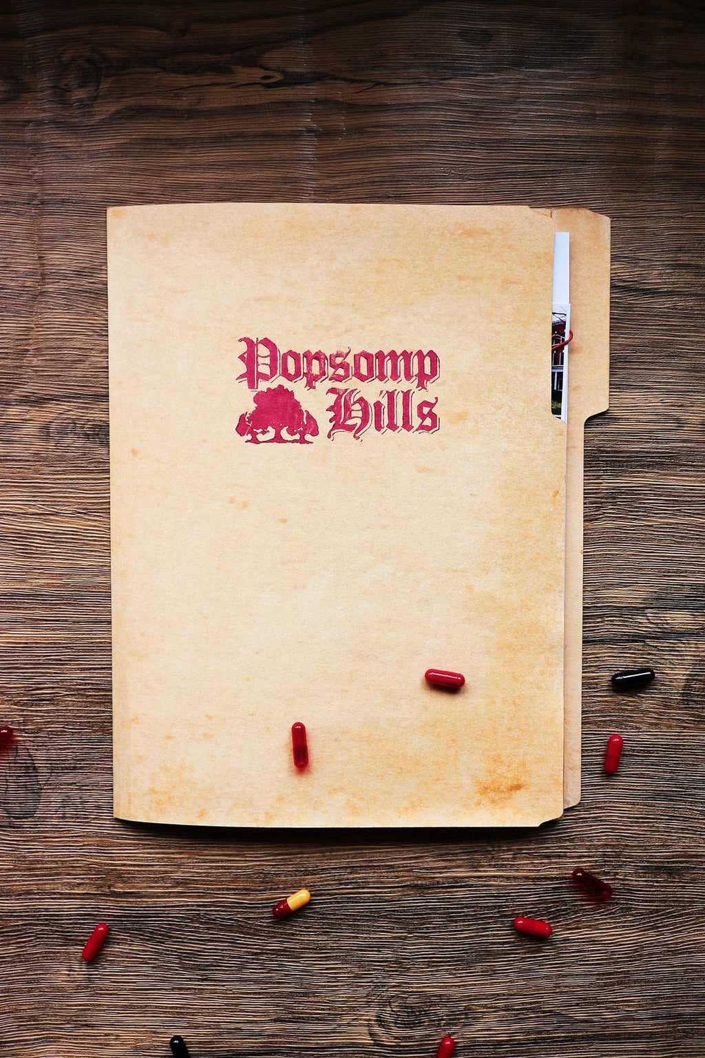 Relapse File Folder + TDOSS Milk Carton + Stan Air Freshener bundle