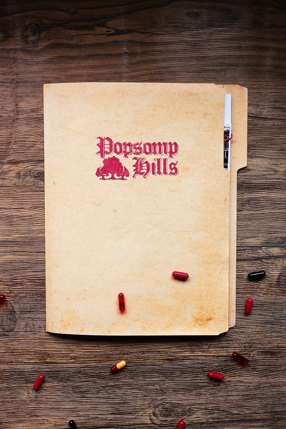 Relapse File Folder + TDOSS Milk Carton + Stan Air Freshener bundle
